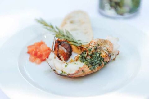 Stellenangebote: Roth Catering und Events - Catering & Event-Location Isenbüttel