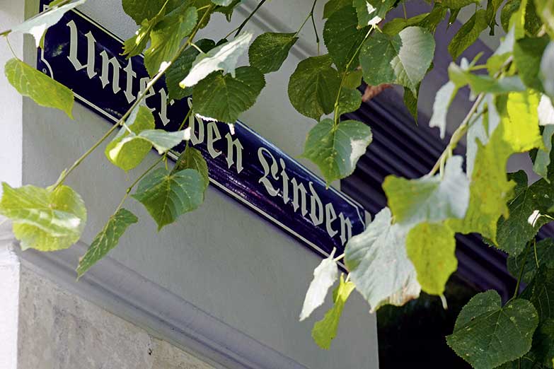 Gastronomiebild Zu den Vier Linden - Deutsches Restaurant & Kneipe Braunschweig